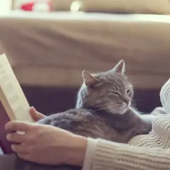 Eine Katze liegt auf mir, während ich ein Buch lese. Sie schläft friedlich und genießt die Wärme.