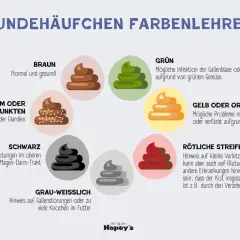 Hundekot-Farbenlehre: Rötliche Streifen/Verfärbungen können auf Blutungen hinweisen, aber ein Hund mit Blut im Stuhl kann trotzdem fit sein, z.B. durch Rote Bete.