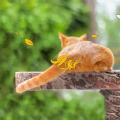 Eine orangefarbene Katze liegt auf einem Holzbrett. Ihr Schwanzansatz ist mit gelben Schuppen verziert, die wie Flammen aussehen.