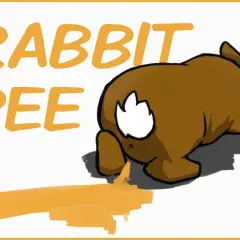 Ein braunes Kaninchen lässt roten Urin fallen. Der Text "RABBIT PEE" steht daneben.