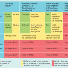Tabelle zeigt, wann eine Katze mit Durchfall zum Tierarzt muss. Wenn die Katze hat Durchfall und stinkt, ist das ein Notfall.