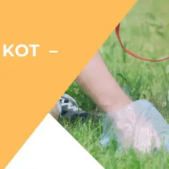 Ein weißer Hund sitzt im Gras, während eine Hand mit Handschuh etwas aufhebt. Der Text fragt: "Hund frisst Kot – Was tun?".