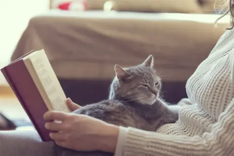 Eine Katze liegt auf mir, während ich ein Buch lese. Sie schläft friedlich und genießt die Wärme.