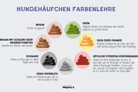 Hundekot-Farbenlehre: Rötliche Streifen/Verfärbungen können auf Blutungen hinweisen, aber ein Hund mit Blut im Stuhl kann trotzdem fit sein, z.B. durch Rote Bete.