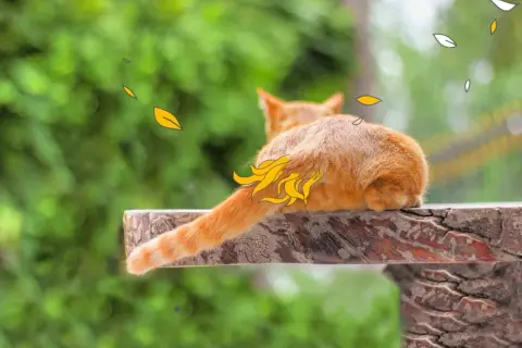 Eine orangefarbene Katze liegt auf einem Holzbrett. Ihr Schwanzansatz ist mit gelben Schuppen verziert, die wie Flammen aussehen.