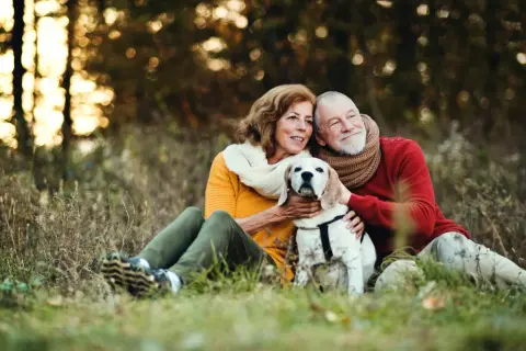 Älteres Paar mit Hund im Herbstwald. Die Hände des Mannes und der Frau streicheln den Hund, der ruhig zwischen ihnen sitzt. Keine Anzeichen, dass der Hund sterben will.