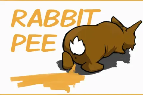 Ein braunes Kaninchen lässt roten Urin fallen. Der Text "RABBIT PEE" steht daneben.