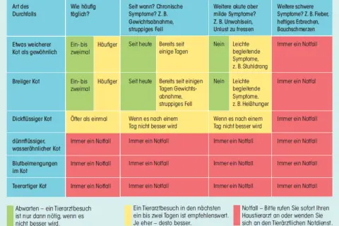 Tabelle zeigt, wann eine Katze mit Durchfall zum Tierarzt muss. Wenn die Katze hat Durchfall und stinkt, ist das ein Notfall.