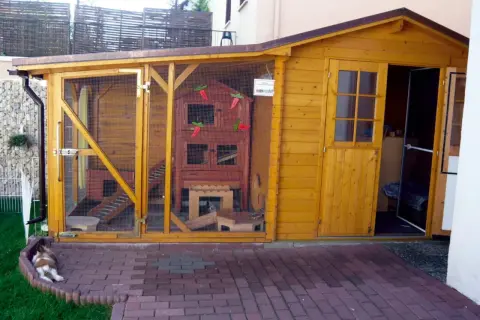 Ein liebevoll gestalteter kaninchen spielplatz selber bauen. Ein Kaninchen ruht sich vor dem Holzgehege aus.