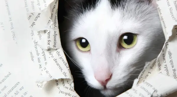 Ein weiß-schwarzes Kätzchen mit leuchtend grünen Augen blickt neugierig durch ein zerissenes Buch. Vielleicht sucht es nach Katzennamen mit B wie "Balu" oder "Bello".