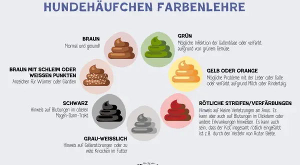 Hundekot-Farbenlehre: Rötliche Streifen/Verfärbungen können auf Blutungen hinweisen, aber ein Hund mit Blut im Stuhl kann trotzdem fit sein, z.B. durch Rote Bete.