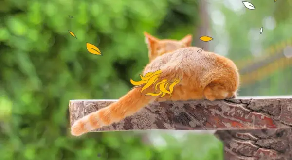 Eine orangefarbene Katze liegt auf einem Holzbrett. Ihr Schwanzansatz ist mit gelben Schuppen verziert, die wie Flammen aussehen.