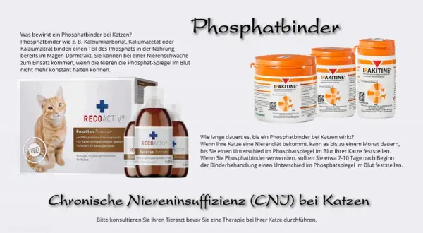 Katze mit Niereninsuffizienz: Phosphatbinder wie RECOACTIV helfen, den Phosphatspiegel zu regulieren.