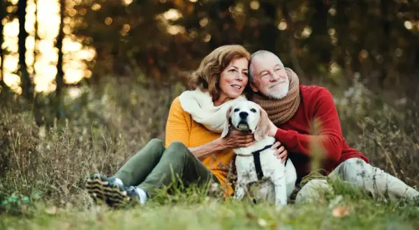 Älteres Paar mit Hund im Herbstwald. Die Hände des Mannes und der Frau streicheln den Hund, der ruhig zwischen ihnen sitzt. Keine Anzeichen, dass der Hund sterben will.