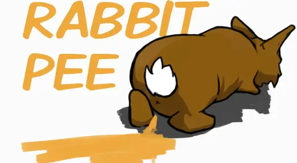 Ein braunes Kaninchen lässt roten Urin fallen. Der Text "RABBIT PEE" steht daneben.