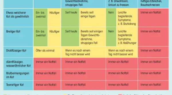 Tabelle zeigt, wann eine Katze mit Durchfall zum Tierarzt muss. Wenn die Katze hat Durchfall und stinkt, ist das ein Notfall.