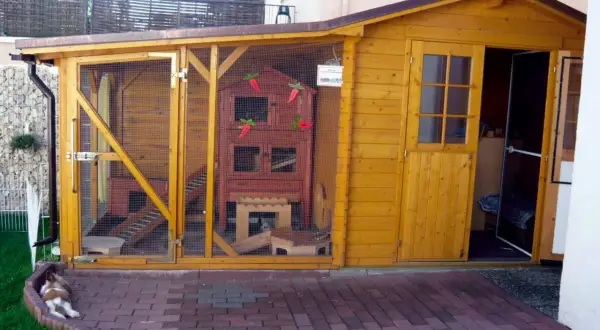 Ein liebevoll gestalteter kaninchen spielplatz selber bauen. Ein Kaninchen ruht sich vor dem Holzgehege aus.