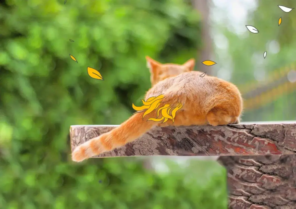 Eine orangefarbene Katze liegt auf einem Holzbrett. Ihr Schwanzansatz ist mit gelben Schuppen verziert, die wie Flammen aussehen.