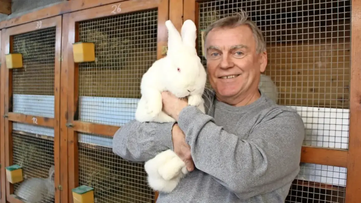 Ein Mann hält ein weißes Kaninchen mit roten Augen. Hinter ihnen sind Käfige mit Nummern.