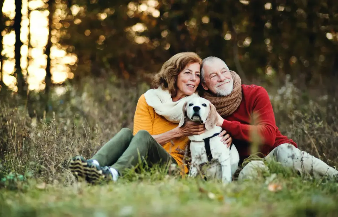 Älteres Paar mit Hund im Herbstwald. Die Hände des Mannes und der Frau streicheln den Hund, der ruhig zwischen ihnen sitzt. Keine Anzeichen, dass der Hund sterben will.
