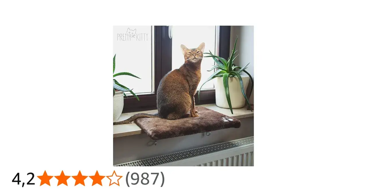 Abessinier-Katze sitzt auf einem Fensterbrett, umgeben von Pflanzen. Sie fragt sich, wie lange schlafen Katzen wohl, wenn sie so gemütlich liegen.