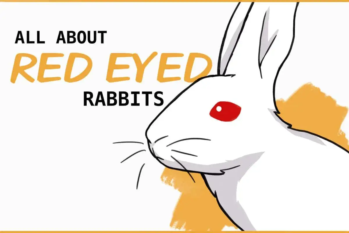 Ein weißes Kaninchen mit leuchtend roten Augen, das Thema des Bildes sind