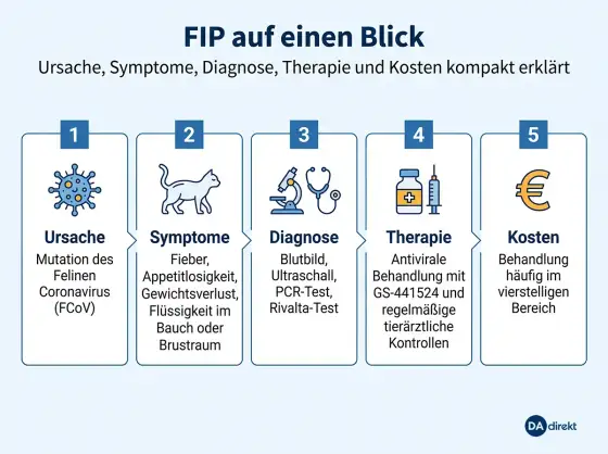 FIP bei Katzen erkennen und behandeln - was jetzt wichtig ist