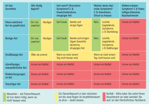 Tabelle zeigt, wann eine Katze mit Durchfall zum Tierarzt muss. Wenn die Katze hat Durchfall und stinkt, ist das ein Notfall.